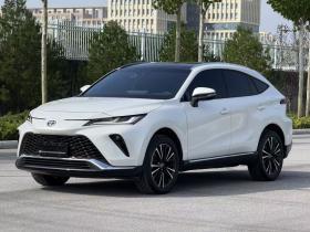 丰田 威飒 2023款 2.0L CVT两驱尊贵版