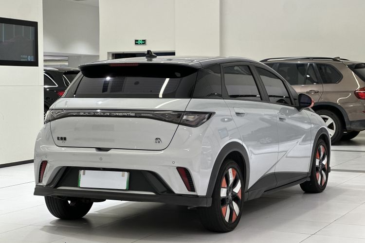 比亚迪 海豚 2021款 401km 骑士版车身外观6004