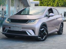 比亚迪 海豚 2021款 405km 时尚版