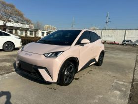 比亚迪 海鸥 2023款 自由版