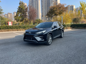 丰田 威兰达 2022款 2.0L CVT两驱豪华版