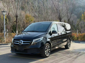奔驰V级 2020款 V 260 领航版