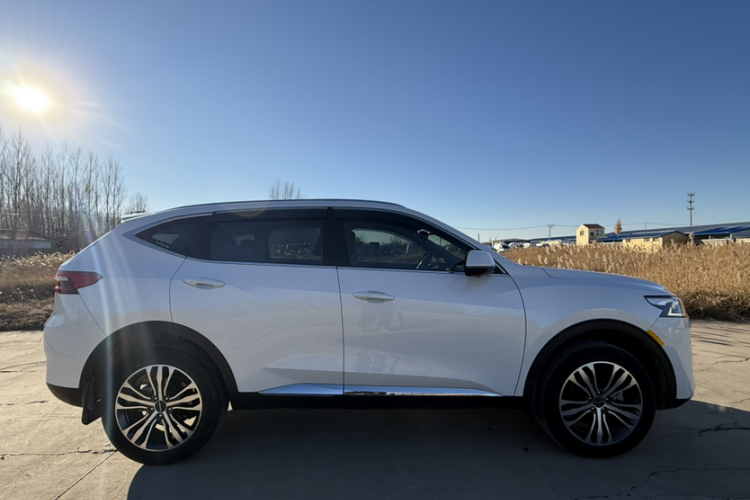 哈弗F7 2019款 2.0T 两驱i范 国V车身外观6003