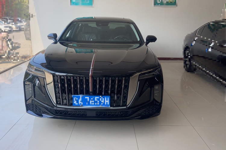 红旗H9 2024款 2.0T 旗享 私享风尚版车身外观6002