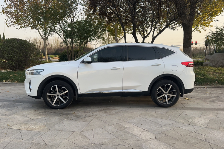 哈弗F7 2019款 1.5T 两驱i潮 国V车身外观6003