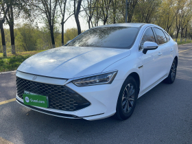 比亚迪 秦PLUS 2023款 冠军版 DM-i 55KM领先型