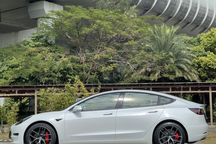 特斯拉 Model 3 2020款 改款 标准续航后驱升级版车身外观6003