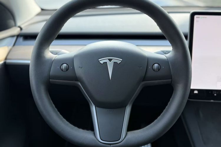 特斯拉 Model Y 2022款 Performance高性能全轮驱动版中控内饰7004