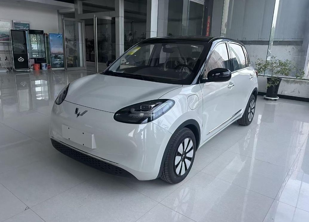 哪吒汽车 哪吒V 2021款 魔女版