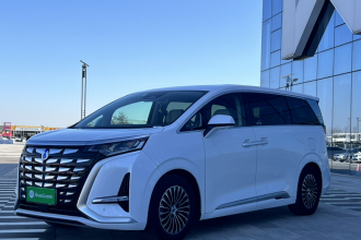 腾势D9 2022款 DM-i 1040 尊贵型