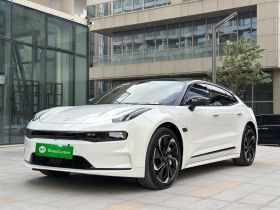 极氪001 2022款 长续航双电机 WE版