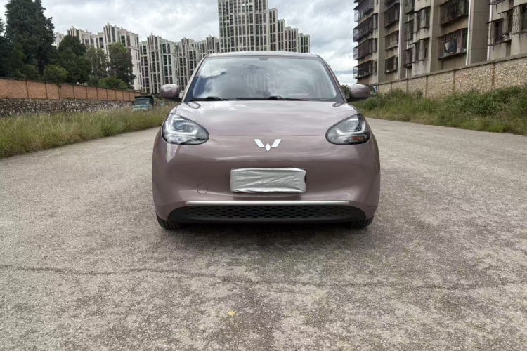 五菱汽车 五菱缤果 2023款 203km 轻享款车身外观6005