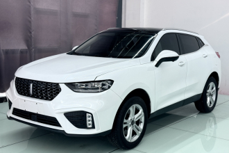 魏牌 VV5 2020款 1.5T 两驱颜先锋