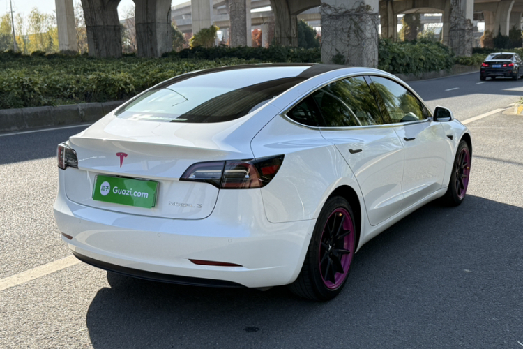 特斯拉 Model 3 2019款 标准续航后驱升级版车身外观6006