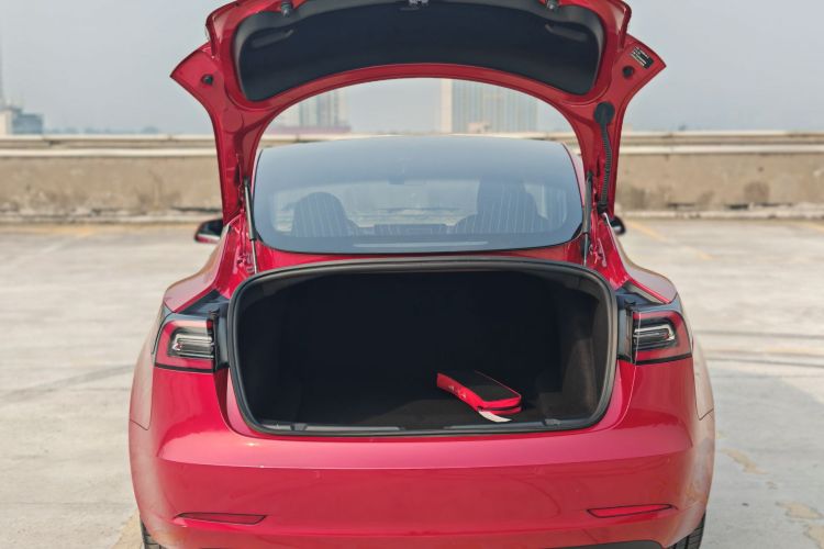 特斯拉 Model 3 2019款 标准续航后驱升级版局部细节23