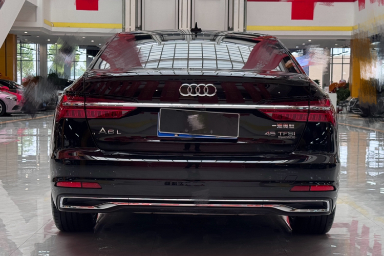 奥迪A6L 2024款 45 TFSI quattro 臻选致雅型车身外观6003