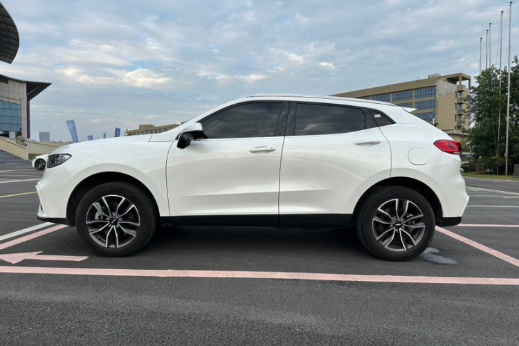 魏牌 VV5 2021款 1.5T 两驱颜先锋车身外观6004