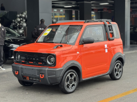 吉利银河 2025款 210km 熊猫骑士