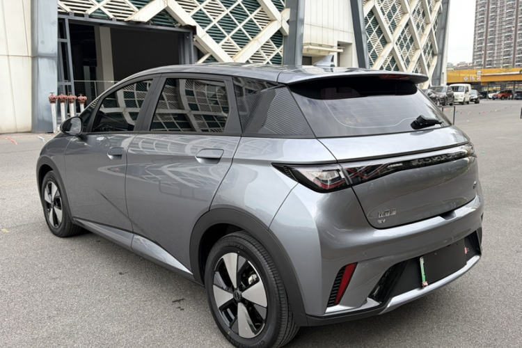 比亚迪 海豚 2023款 420km 自由版车身外观6003