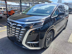 腾势D9 2024款 DM-i 1050 尊享型