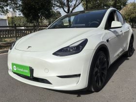 特斯拉 Model Y 2021款 长续航全轮驱动版