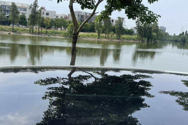 路虎 发现运动版 2020款 249PS R-Dynamic 性能版局部细节57