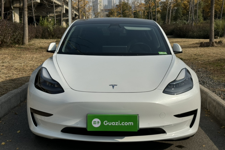 特斯拉 Model 3 2021款 改款 标准续航后驱升级版 3D1车身外观6002