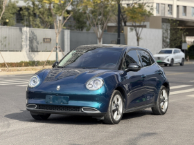 欧拉好猫 2021款 400km标准续航 维纳斯版 磷酸铁锂