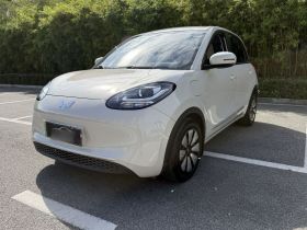 五菱汽车 五菱缤果 2023款 333km 快享款