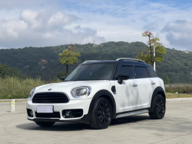 MINI Countryman 2019款 1.5T COOPER 艺术家周末旅行版