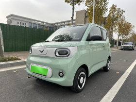 五菱汽车 宏光MINIEV 2024款 第三代 215km 青春版