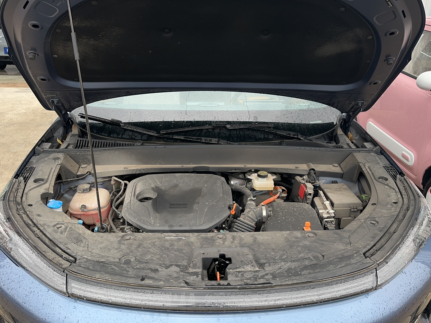 车300二手车图片