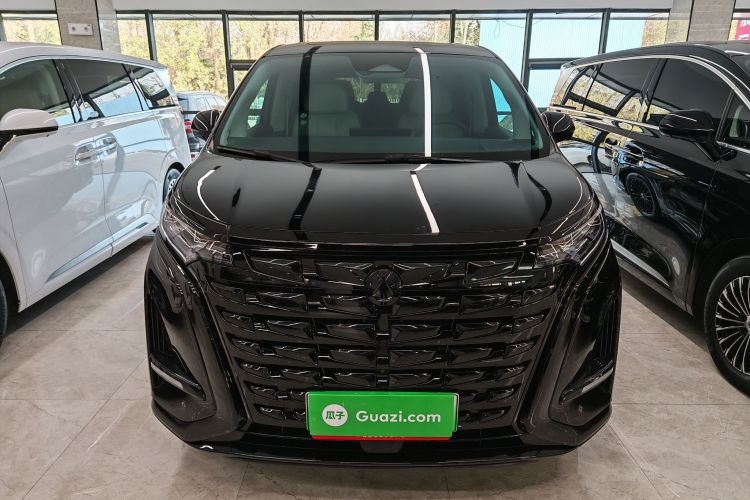 腾势D9 2024款 DM-i 980 四驱尊荣型车身外观6004