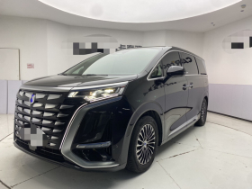 腾势D9 2024款 DM-i 980 四驱尊荣型