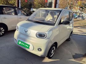 五菱汽车 宏光MINIEV 2024款 第三代 215km 青春版