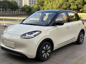 五菱汽车 五菱缤果 2025款 333km 悦享款