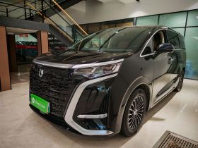 腾势D9 2024款 DM-i 980 四驱尊荣型