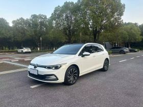 大众 高尔夫 2021款 280TSI DSG Pro