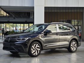 大众 途观L 2025款 出众款 300TSI 自动两驱龙腾版