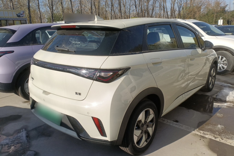 比亚迪 海豚 2025款 420km 自由版车身外观6005