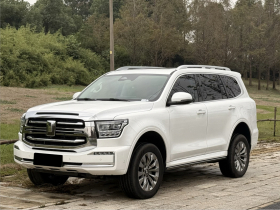 坦克500新能源 2024款 Hi4-T