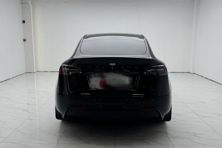 特斯拉 Model Y 2021款 标准续航后驱版车身外观6005