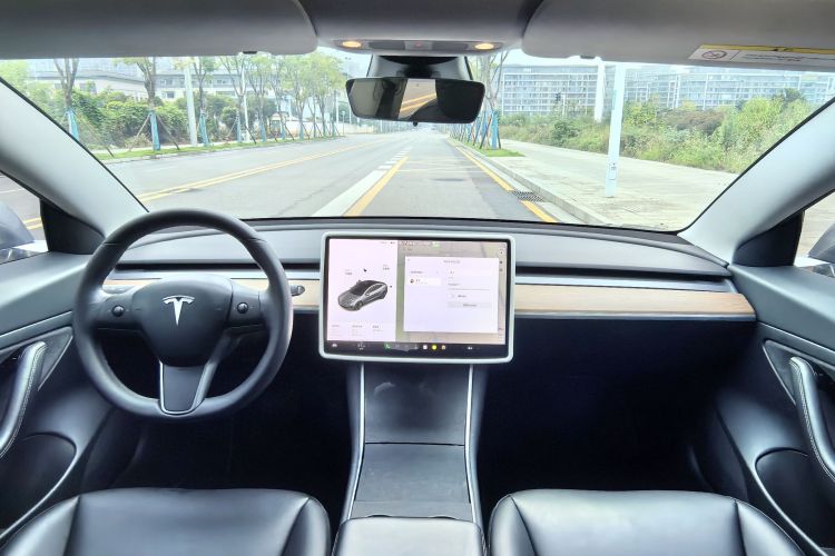 特斯拉 Model 3 2020款 改款 长续航后轮驱动版中控内饰7001