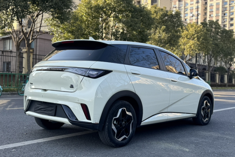 比亚迪 海豚 2021款 405km 时尚版车身外观6007