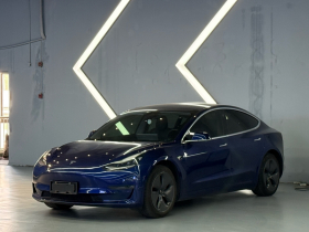 特斯拉 Model 3 2020款 改款 长续航后轮驱动版