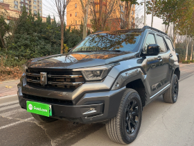 坦克400新能源 2024款 Hi4-T 城市版