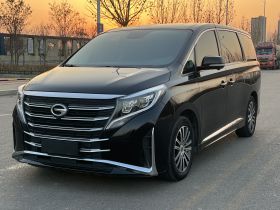 广汽传祺 传祺M8 2023款 领秀系列 390T 至尊版