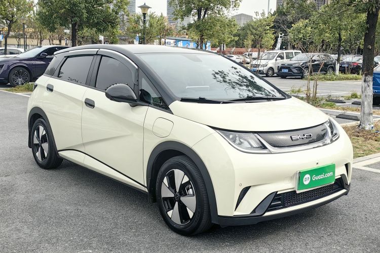 比亚迪 海豚 2023款 420km 时尚版车身外观6006