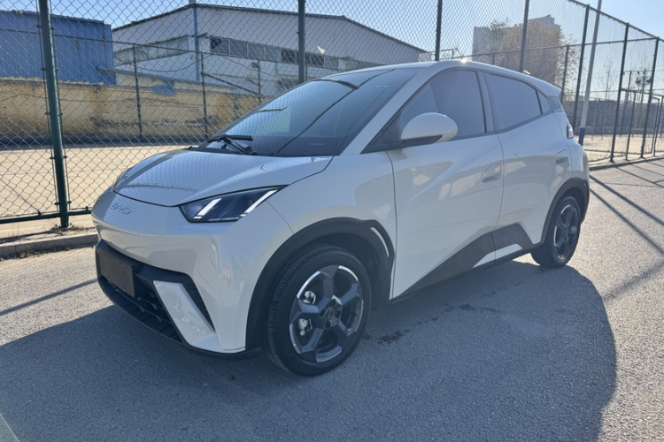 比亚迪 海鸥 2024款 荣耀版 305km 自由版车身外观6002