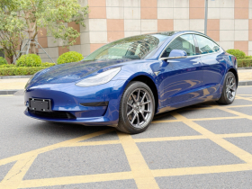 特斯拉 Model 3 2019款 标准续航后驱升级版